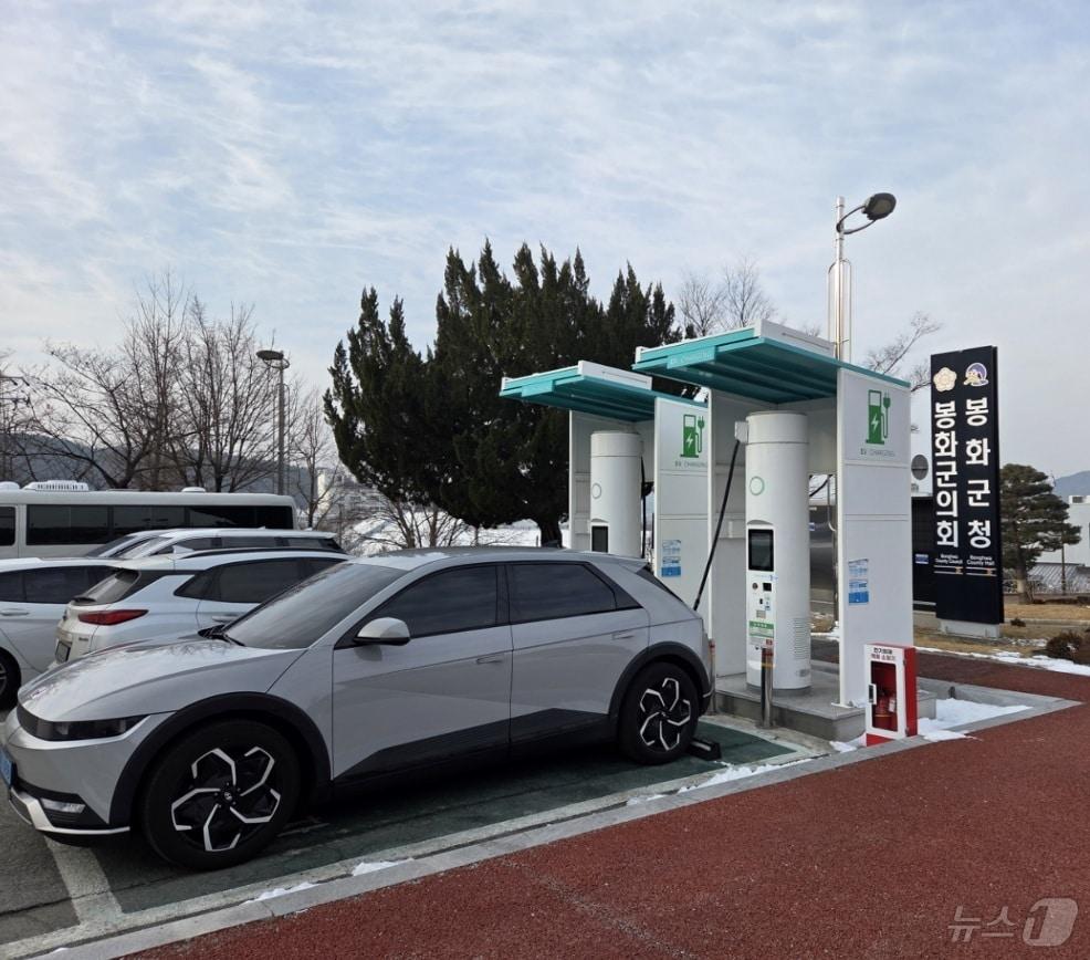 본문 이미지 - 경북 봉화군이 온실가스 감축과 대기환경 개선을 위해 올해 전기자동차 보급사업을 확대한다.(봉화군 제공. 재판매 및 DB금지) /뉴스1