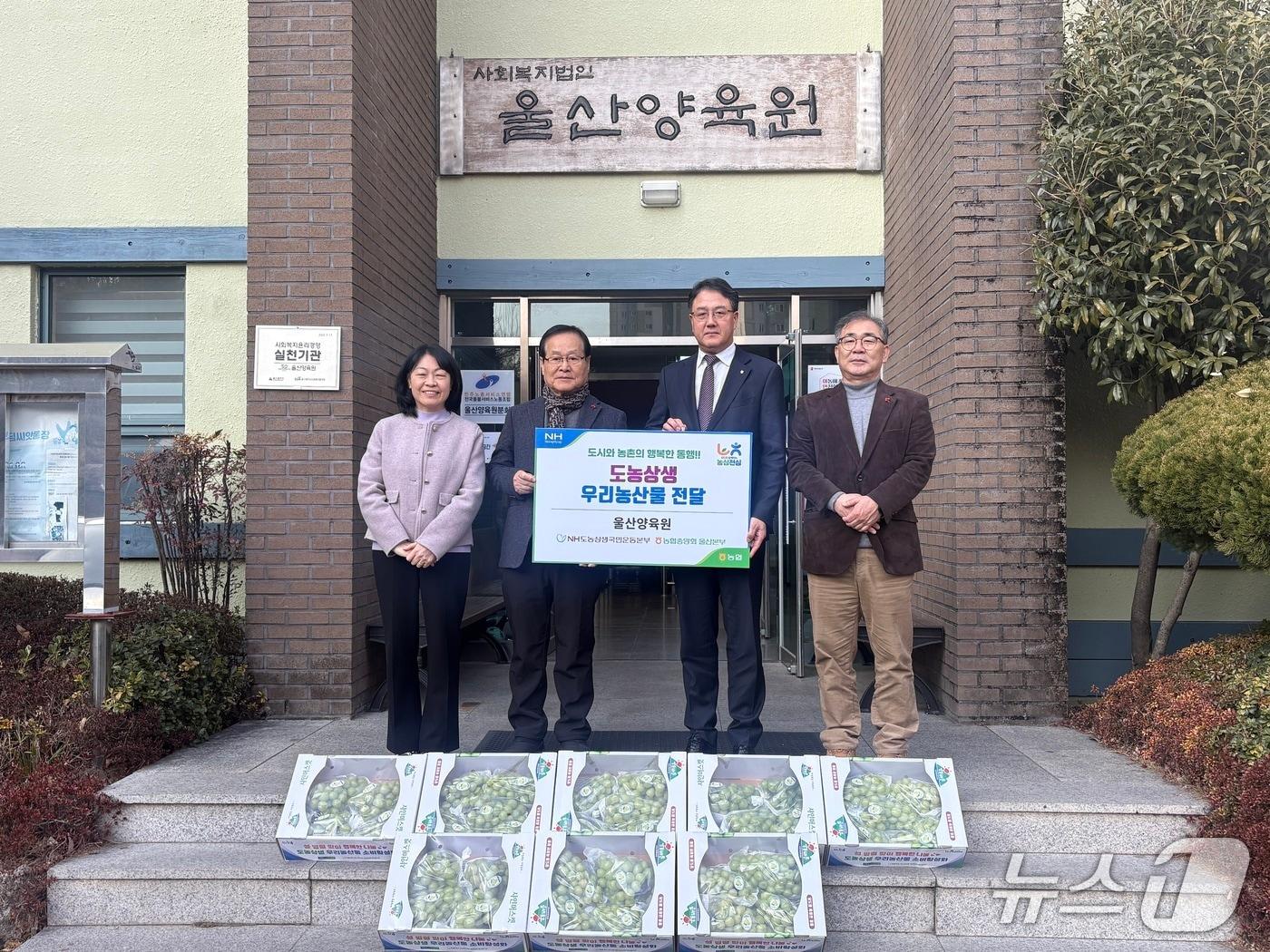 본문 이미지 - 울산농협이 19일 울산양육원에서 샤인머스캣 전달하고 있다.(울산농협 제공. 재판매 및 DB금지)/뉴스1