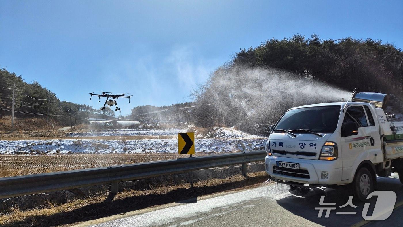 본문 이미지 - 양양 양돈 밀집단지 긴급방역.(농협 강원본부 제공. 재판매 및 DB금지)/뉴스1