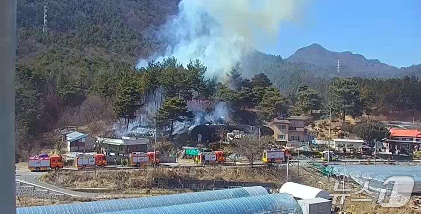 본문 이미지 - 19일 오후 1시33분께 대전 유성구 대정동의 한 야산에서 불이 나 43분 만에 꺼졌다.(산림청 제공) /뉴스1