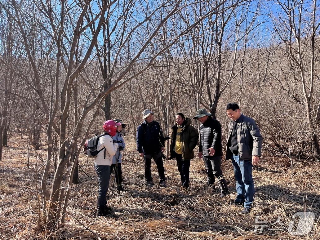 본문 이미지 - 순천 조계산 장박골습지.(전남도 제공. 재판매 및 DB금지)2026.2.19/뉴스1