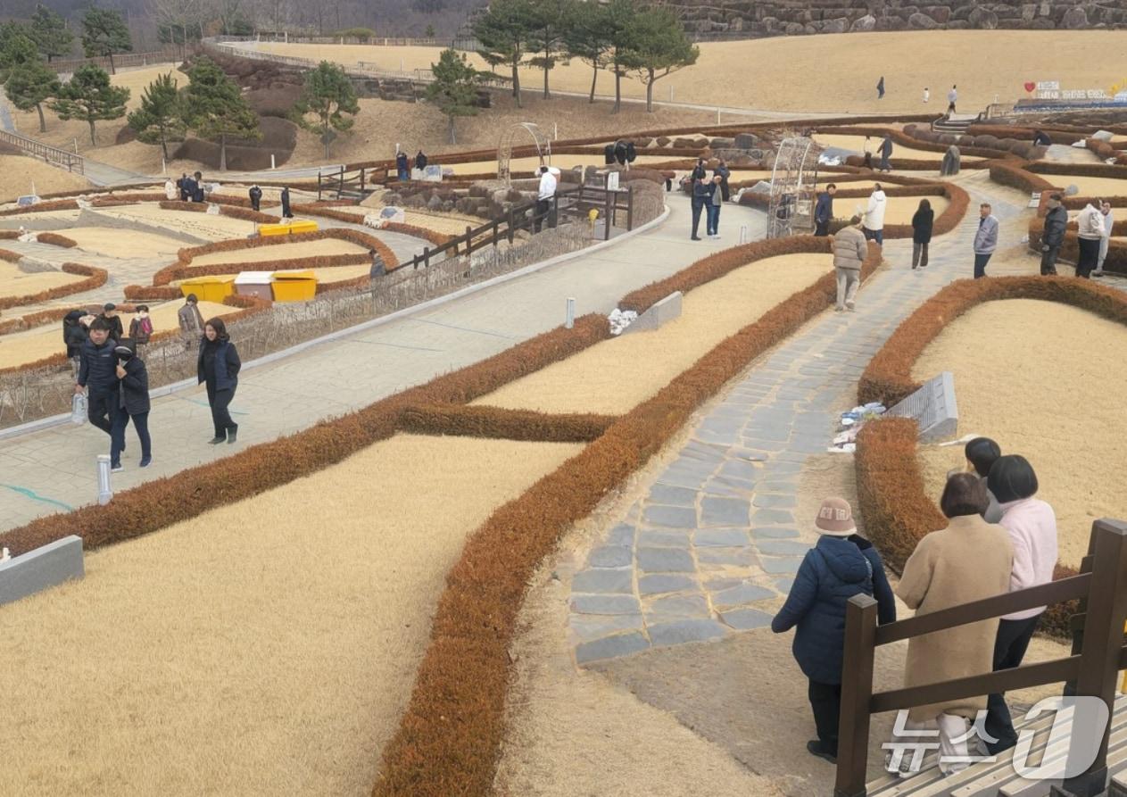 본문 이미지 - 울산하늘공원. /뉴스1