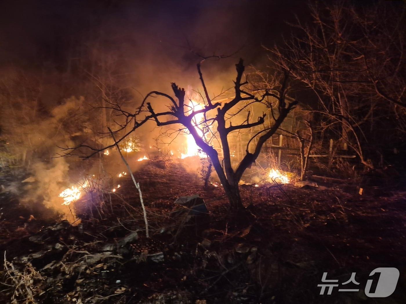 본문 이미지 - 1일 오후 8시 53분쯤 전남 강진군 덕룡산에서 농막에서 난 불이 옮겨붙어 산불이 나 소방당국이 진화하고 있다.(전남소방본부 제공. 재판매 및 DB 금지)