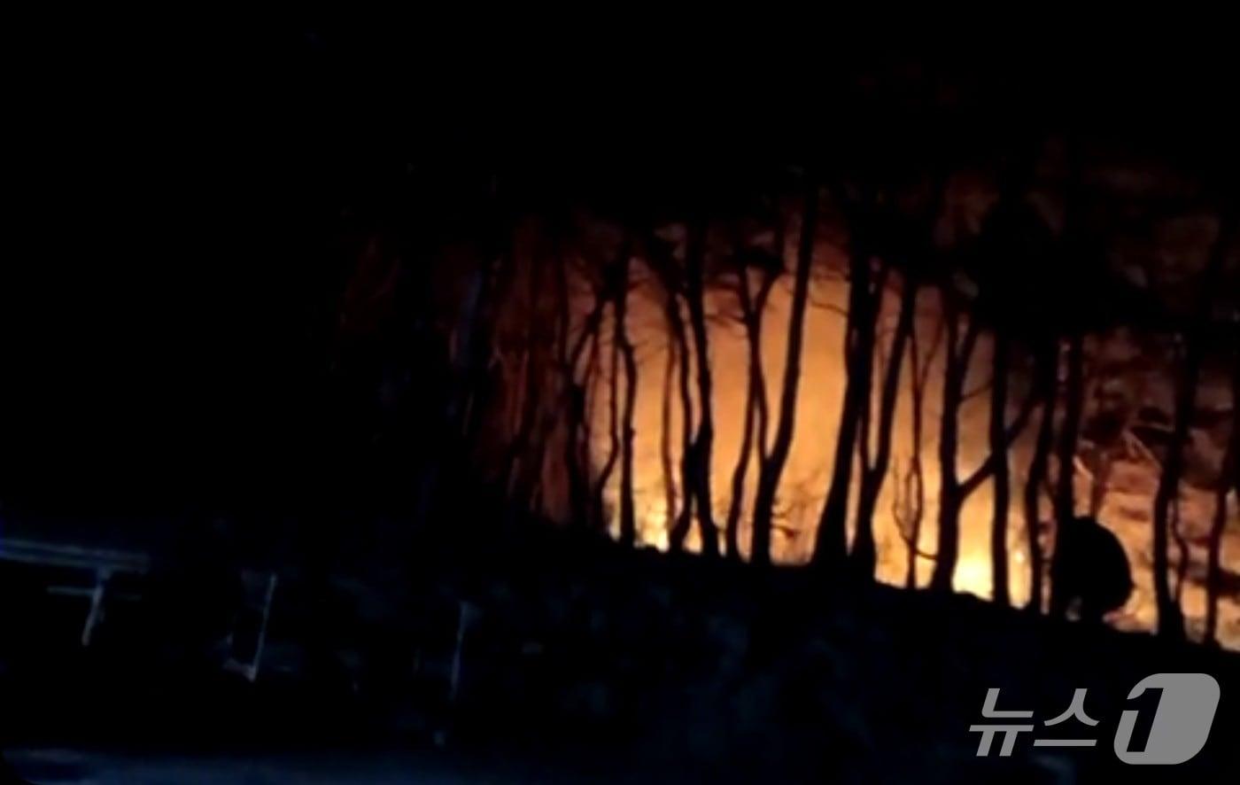본문 이미지 - 1일 오후 7시 56분 충남 보령시 청라면 의평리 산15-2 일원에서 산불이 났다. (산림청 제공.재판매 및 DB금지)/뉴스1