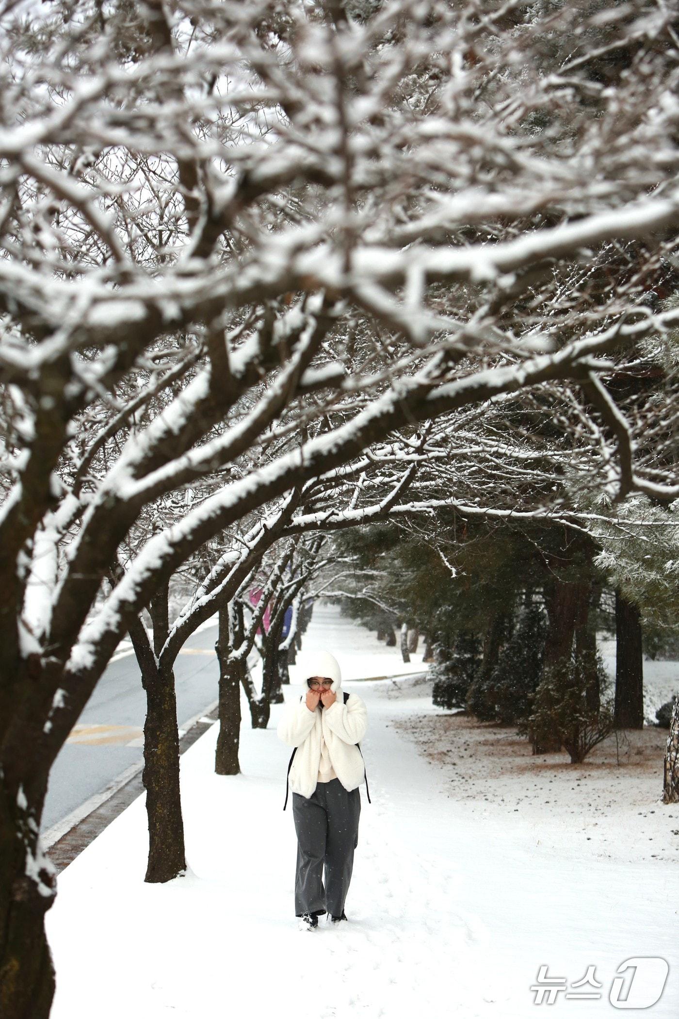 본문 이미지 - 2일 눈 내린 제천 세명대 캠퍼스를 한 학생이 걸어가고 있다. 2026. 2.2 ⓒNews1 /뉴스1 손도언 기자 