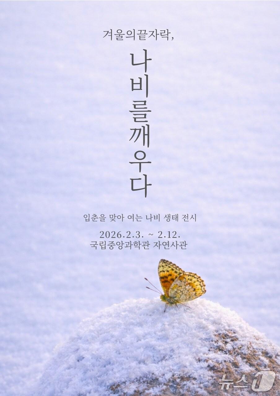 본문 이미지 - 국립중앙과학관 '겨울의 끝자락, 나비를 깨우다' 포스터(중앙과학관 제공) /뉴스1