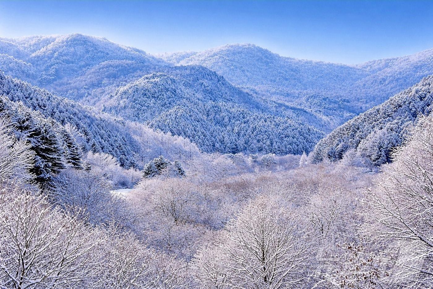 본문 이미지 - 눈 내린 강원 인제군 남면 '비밀의 정원' 일원.(자료사진)/뉴스1 DB