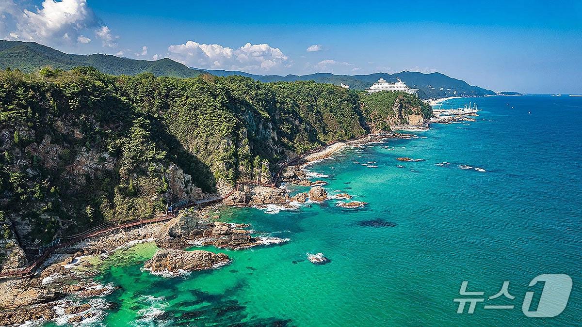 본문 이미지 - 강릉 정동심곡 바다부채길 전경.(강릉관광개발공사 제공, 재판매 및 DB 금지) 2026.2.2/뉴스1