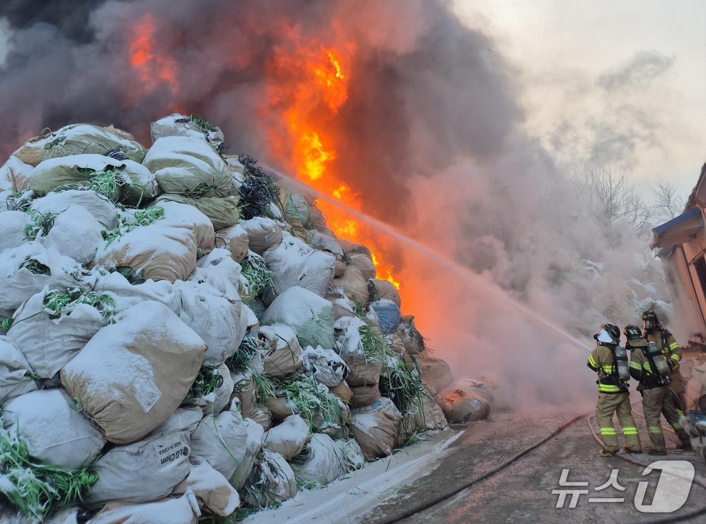본문 이미지 - 화재 현장.(충북소방본부 제공. 재판매 및 DB금지)/뉴스1
