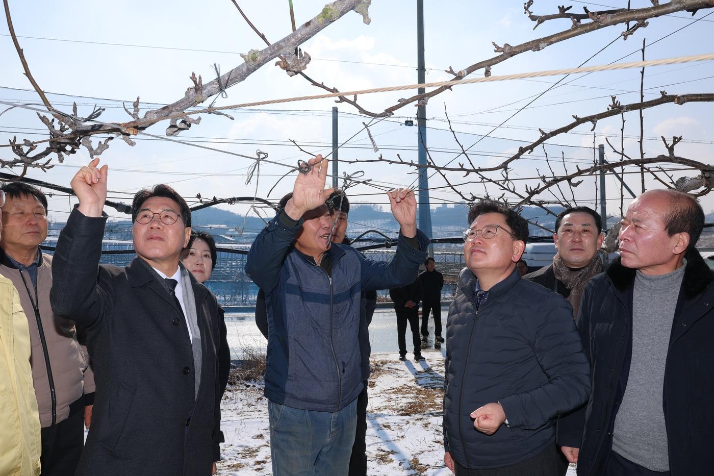 본문 이미지 - 이승돈 농촌진흥청장장이 2일 충청남도 천안시를 방문해 과수화상병 예방을 위한 겨울철 궤양 제거 현장을 점검하고 있다. (농촌진흥청 제공. 재판매 및 DB금지) 2026.2.2 /뉴스1