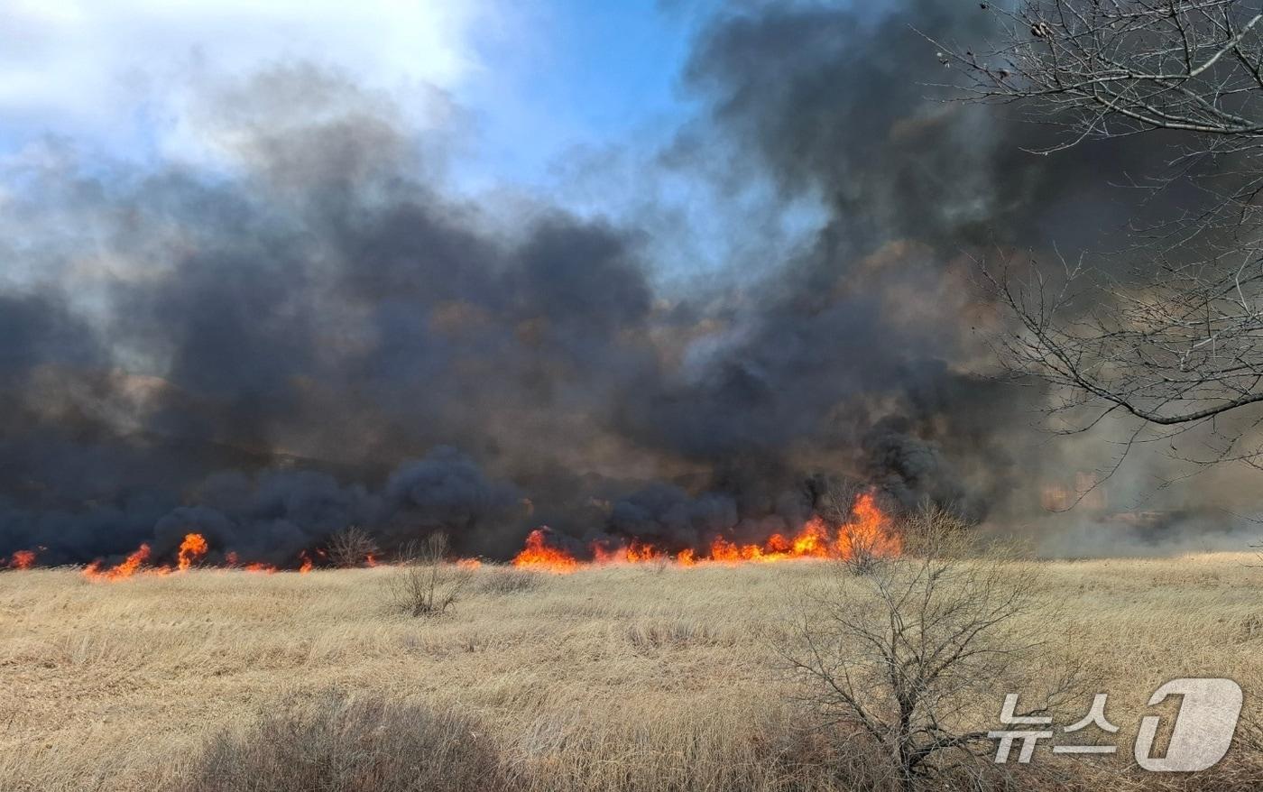 본문 이미지 - 2일 낮 12시 39분쯤 경남 창원시 의창구 대산면 모산리 낙동강 수산대교 인근의 한 갈대밭에서 불이 났다. 사진은 화재 현장 모습.(창원소방본부 제공. 재판매 및 DB금지)