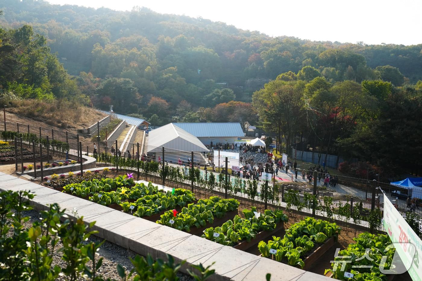 본문 이미지 - 중랑구 자투리텃밭 전경.(서울시 제공)