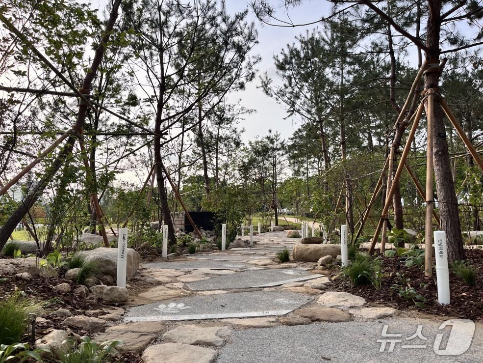 본문 이미지 - 2025년 보라매 서울국제정원박람회에 아시아산림협력기구에서 조성한 정원 'The Spring Grove'.(서울시 제공)