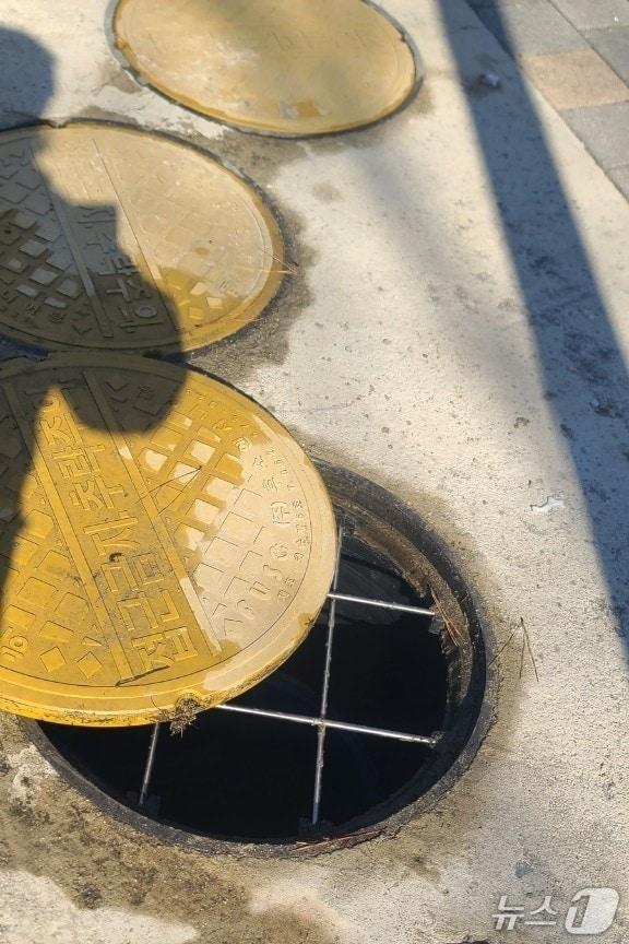 본문 이미지 -  모기 유충이 주로 활동하는 하수구.(충주시 제공. 재판매 및 DB금지)/뉴스1