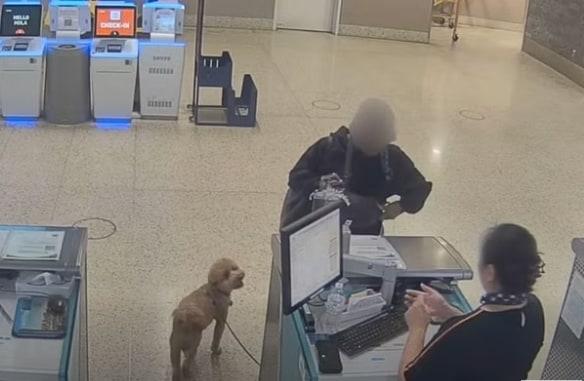 본문 이미지 - 인디펜던트