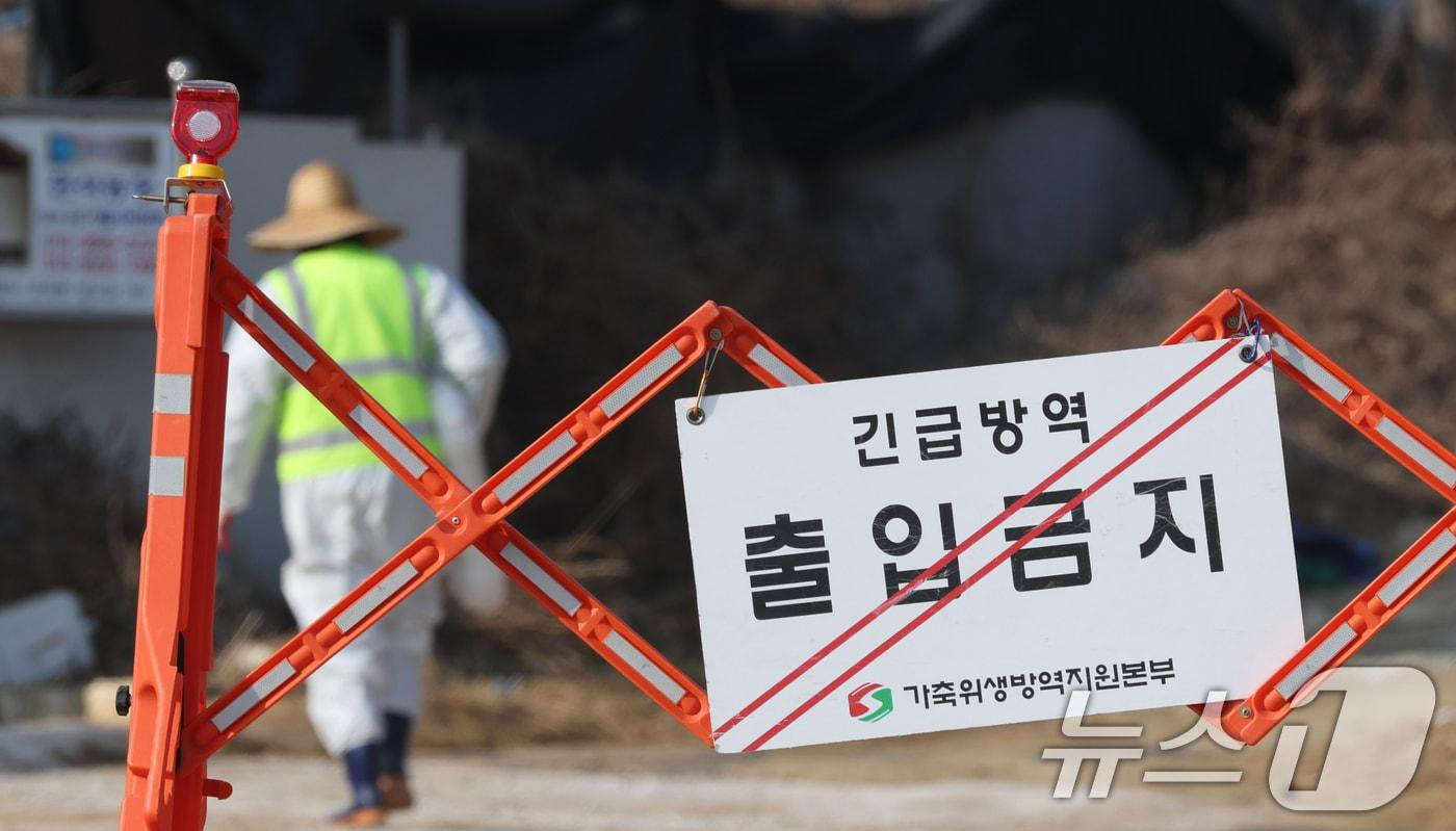 본문 이미지 - 20일 경기 평택시의 한 양돈농장에서 고병원성 아프리카돼지열병(ASF) 발생해 방역당국이 통제 및 방역 작업을 하고 있다. 2026.2.20 ⓒ 뉴스1 김영운 기자