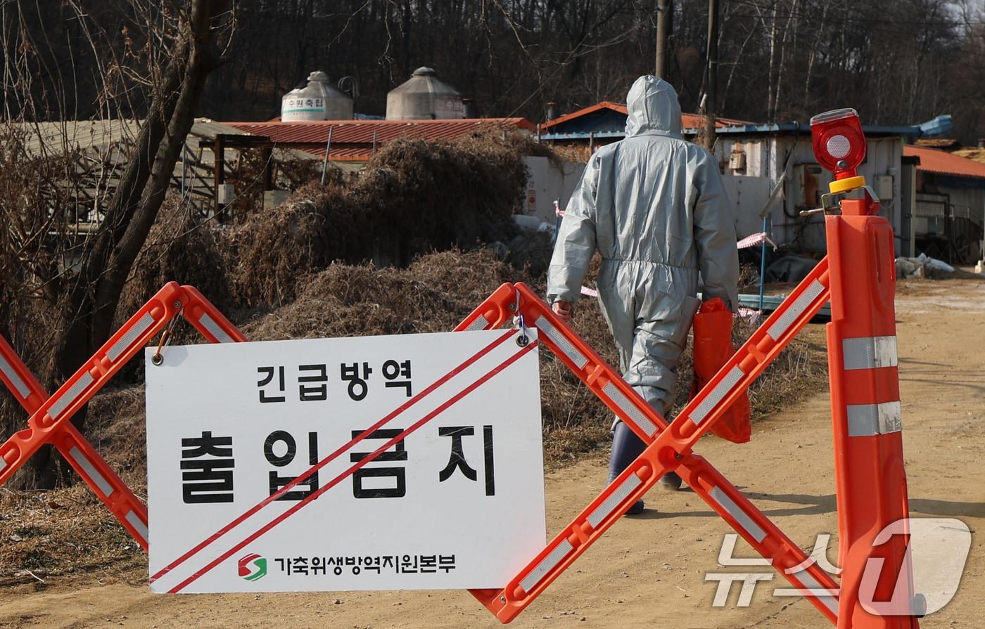 본문 이미지 - 20일 경기 평택시의 한 양돈농장에서 고병원성 아프리카돼지열병(ASF) 발생해 방역당국이 통제 및 방역 작업을 하고 있다. 2026.2.20 ⓒ 뉴스1 김영운 기자