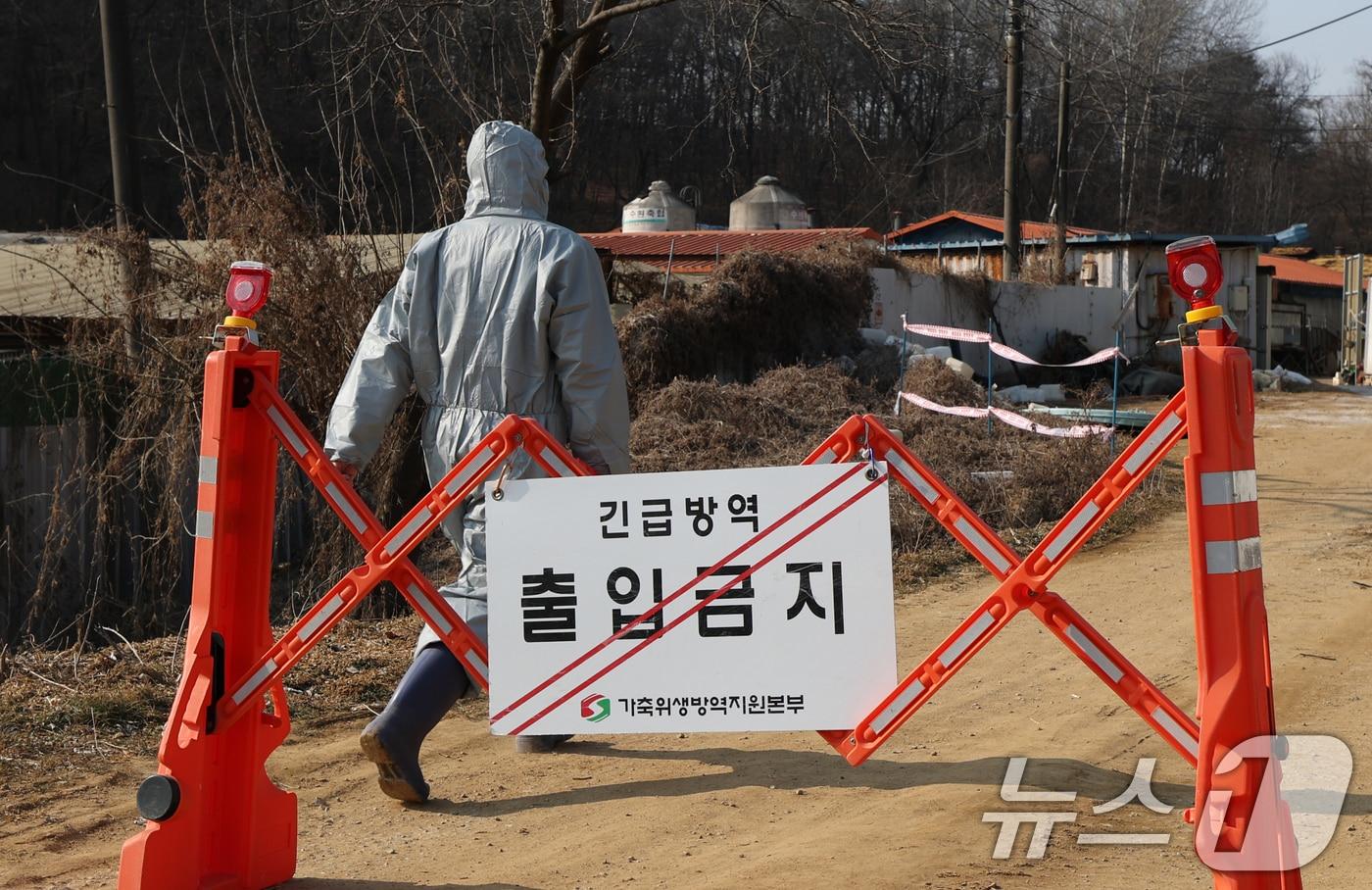 본문 이미지 - 20일 경기 평택시의 한 양돈농장에서 아프리카돼지열병(ASF) 발생해 방역당국이 통제 및 방역 작업을 하고 있다. 2026.2.20 ⓒ 뉴스1 김영운 기자