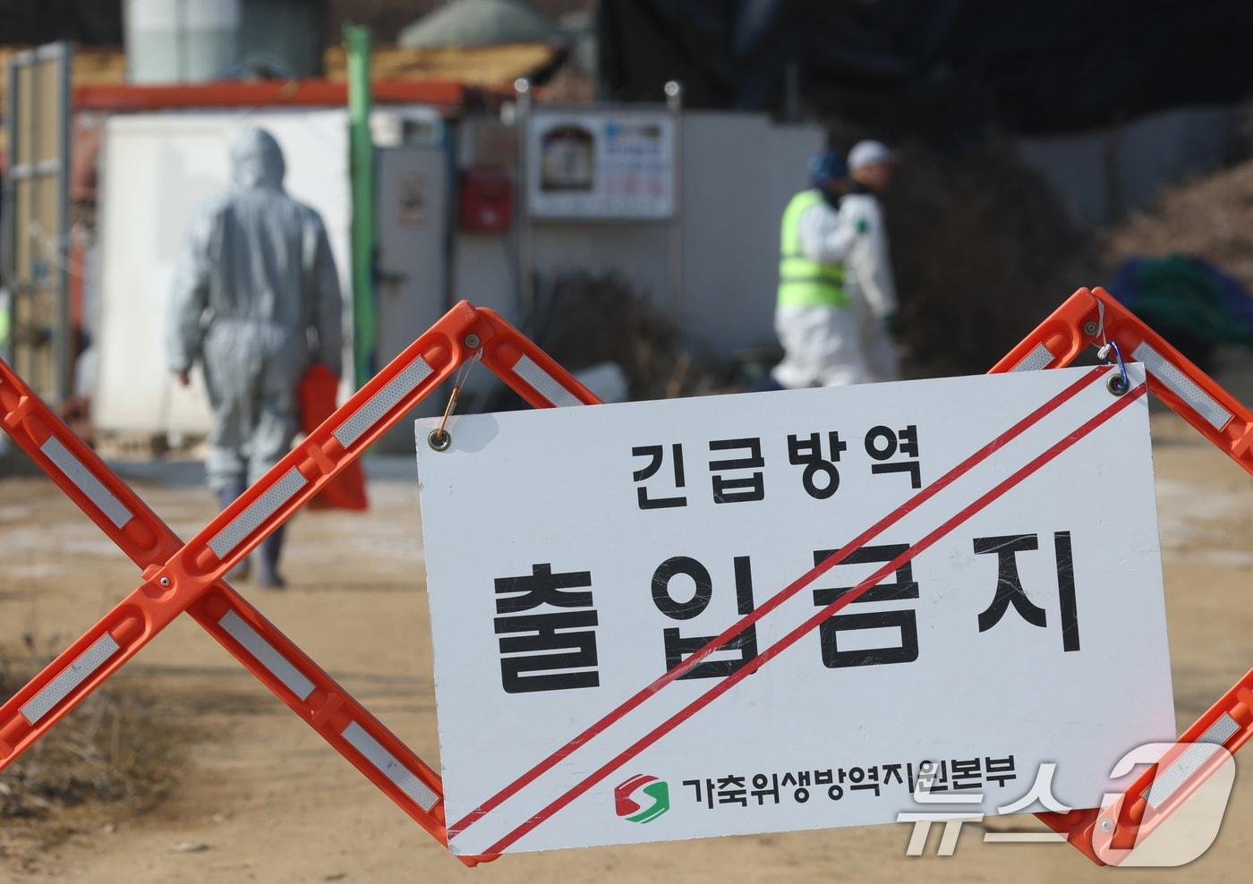 본문 이미지 - 20일 경기 평택시의 한 양돈농장에서 고병원성 아프리카돼지열병(ASF) 발생해 방역당국이 통제 및 방역 작업을 하고 있다. 2026.2.20 ⓒ 뉴스1 김영운 기자