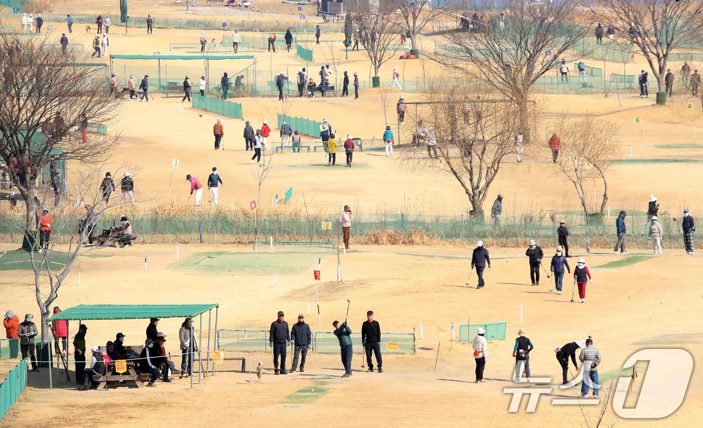 본문 이미지 - 20일 부산 강서구 대저생태공원 파크골프장을 찾은 시민들이 파크골프를 즐기는 모습 ⓒ 뉴스1 윤일지 기자