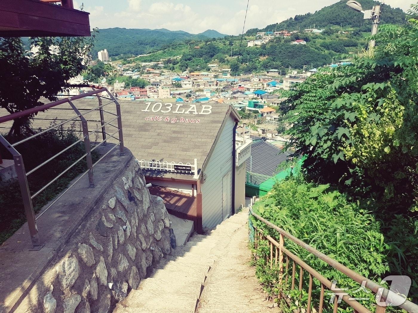 본문 이미지 - 강원 동해시 묵호동 논골담길.(뉴스1 DB) 윤왕근 기자