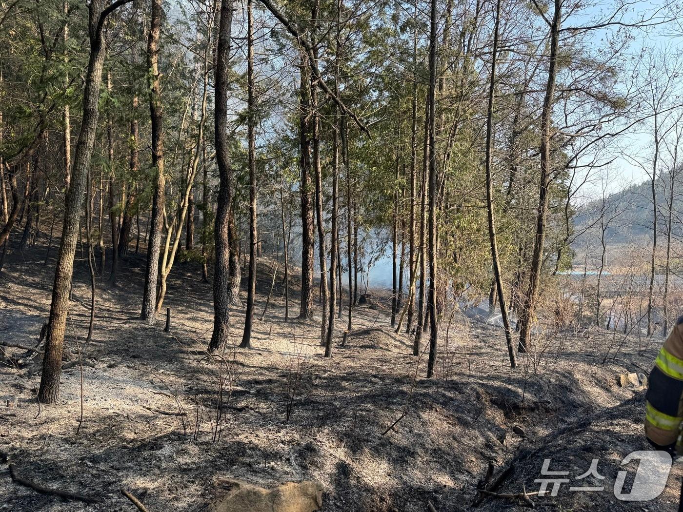 본문 이미지 - 20일 오후 2시 45분쯤 전남 장흥군 부산면의 한 야산에서 불이 나 소방당국이 불을 진화하고 있다.(전남소방본부 제공. 재판매 및 DB 금지)