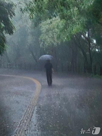 본문 이미지 - 오세훈 서울시장이 지난여름 폭우가 쏟아지던 날 남산 북측 순환로를 걷고 있다.