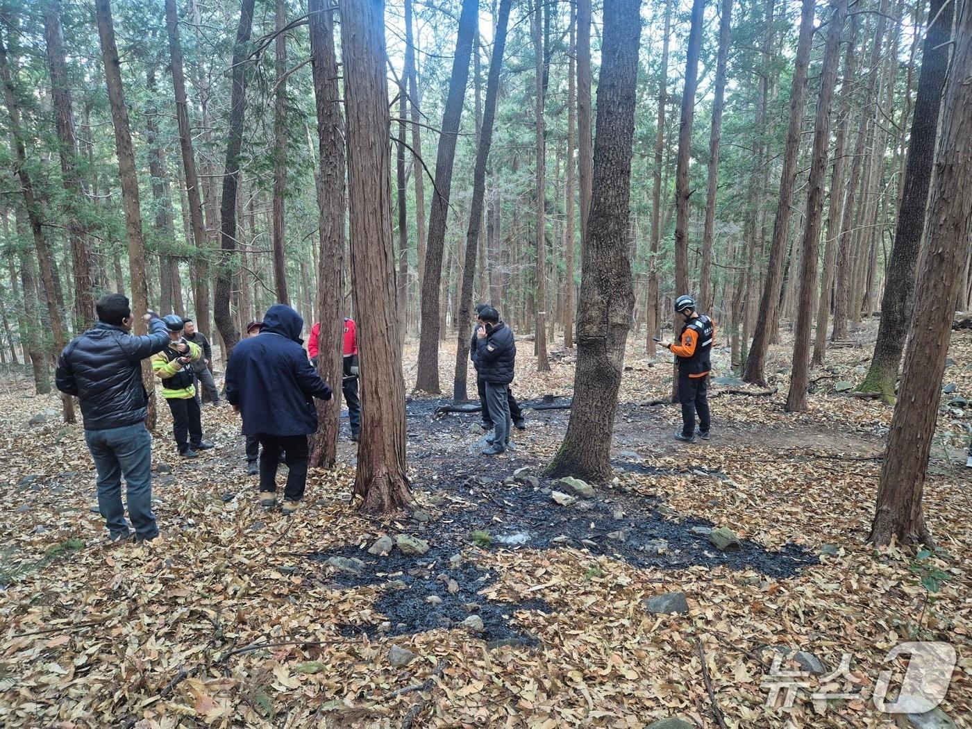 본문 이미지 - 20일 부산 부산진구 초읍동 산에서 불이 난 가운데 소방, 경찰 등이 현장을 살펴보고 있다.(부산진구 제공. 재판매 및 DB 금지)