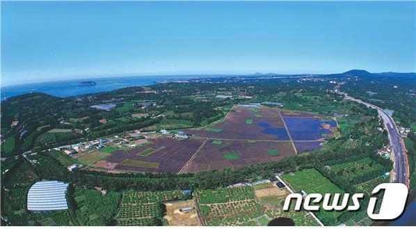 본문 이미지 -  서귀포시 하논 분화구 전경./뉴스1