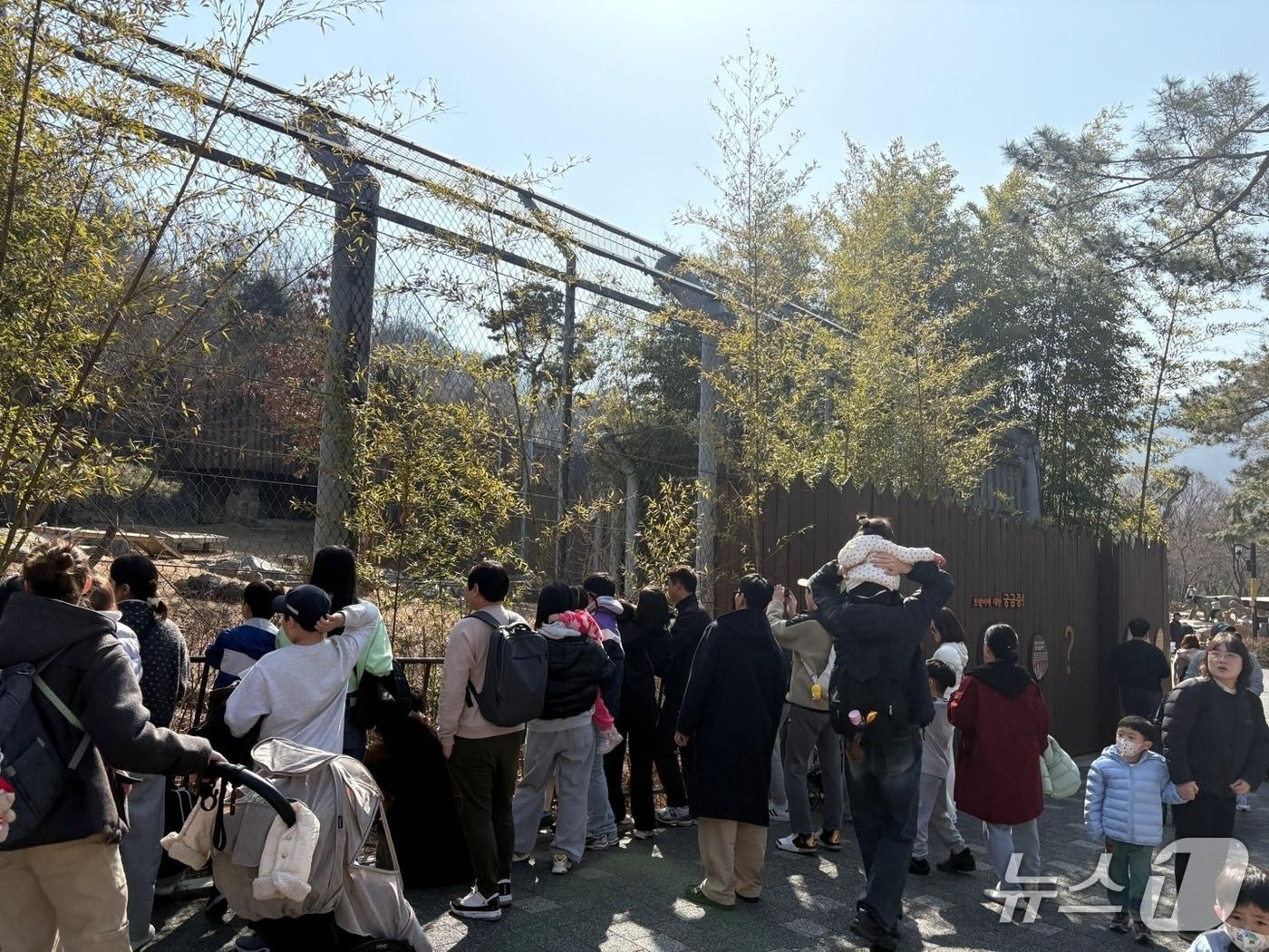 본문 이미지 - 경기 과천시 서울대공원. 2026.2.21/뉴스1 ⓒ News1