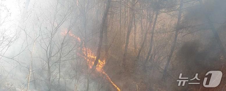 본문 이미지 - 홍천 산불 발생 현장.(강원도소방본부 제공. 재판매 및 DB금지)/뉴스1