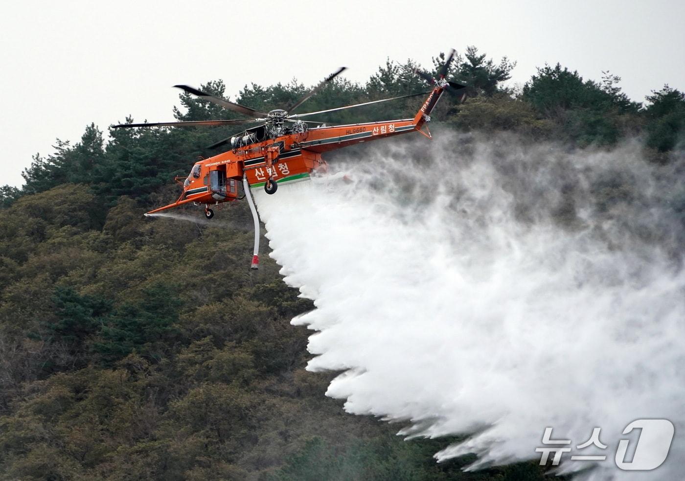 본문 이미지 - 자료 사진.(산림청 제공. 재판매 및 DB금지)