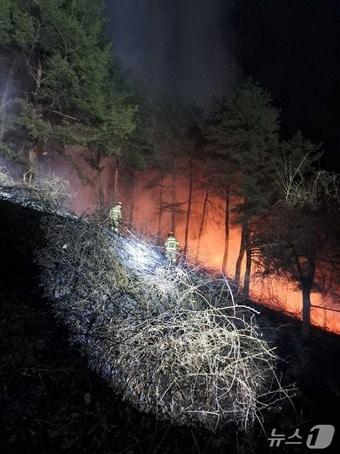 본문 이미지 - 강릉 구정면 덕현리 산불 현장.(강원도 제공. 재판매 및 DB금지)/뉴스1