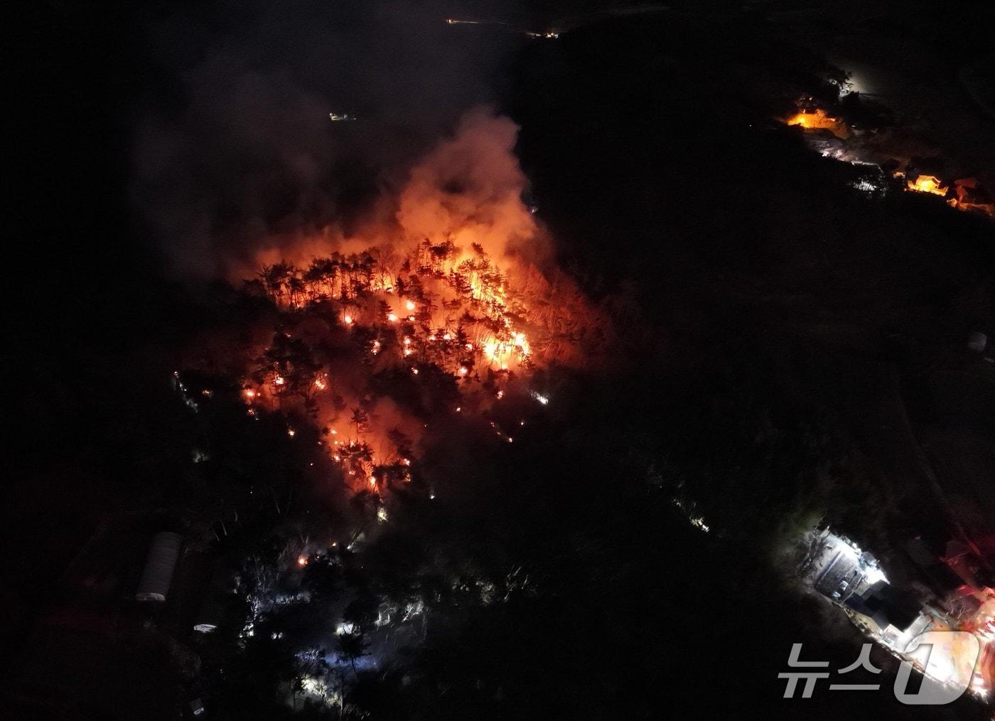 본문 이미지 - 22일 오전 3시 44분께 울산 중구 성안동의 한 야산에서 불이 나 소방 당국이 진화 작업을 하고 있다. (울산소방본부 제공. 재판매 및 DB 금지) /뉴스1