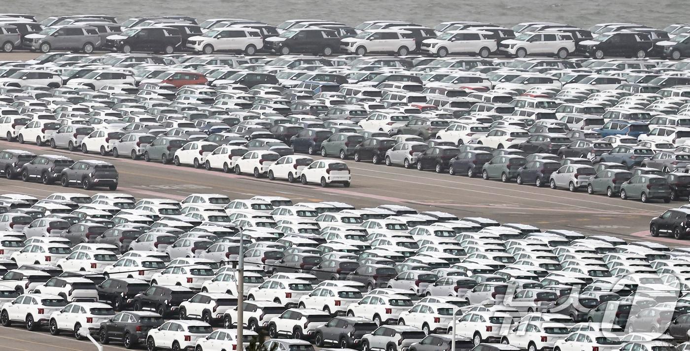 본문 이미지 - 22일 경기 평택시 포승읍 평택항에 수출용 차량이 세워진 모습. 2026.2.22 ⓒ 뉴스1 오대일 기자