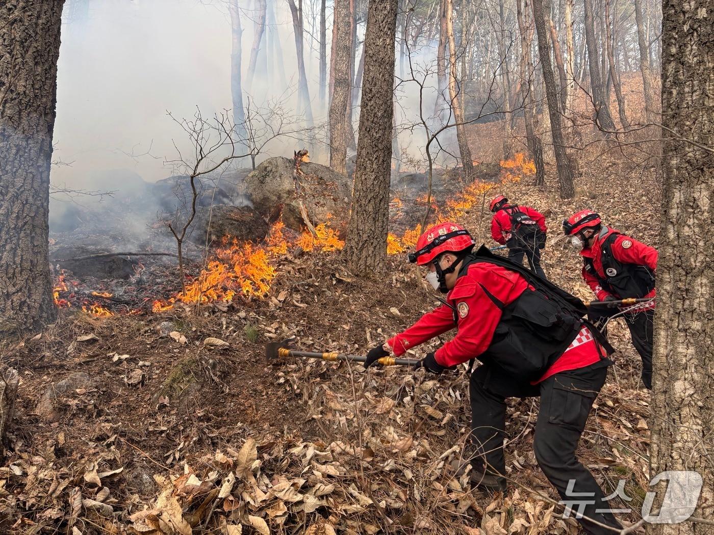 본문 이미지 - 함양 산불 진화 작업 중인 산림재난특수진화대원(산림청 제공. 재판매 및 DB금지). 2026.2.22