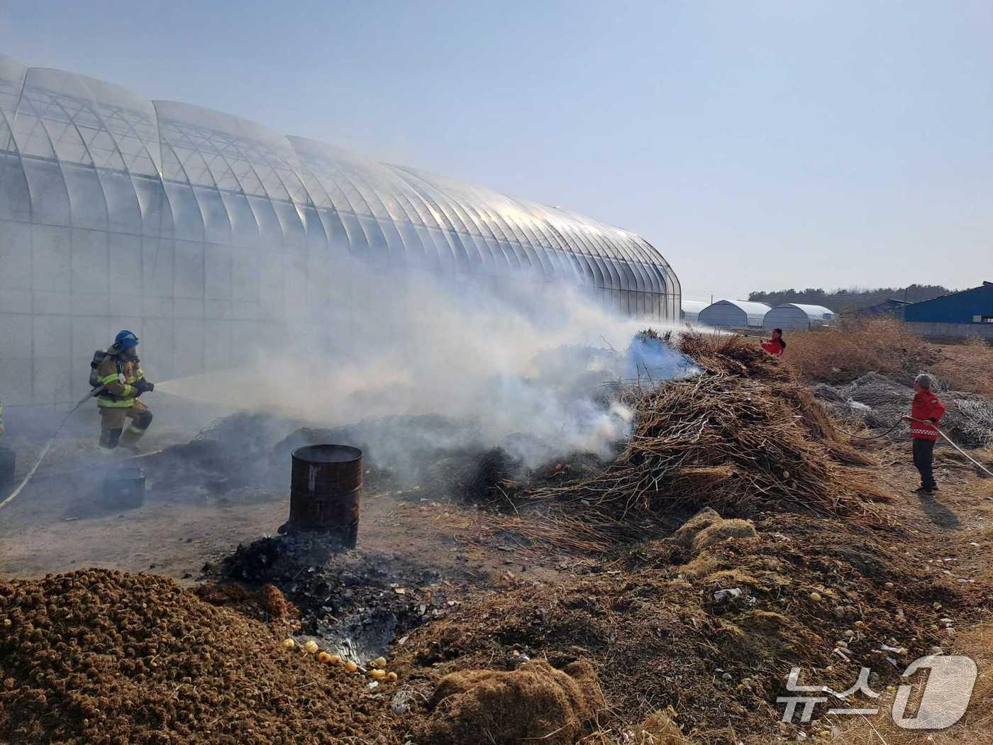 본문 이미지 - 22일 오전 10시 4분쯤 강원 강릉시 연곡면의 한 비닐하우스에서도 불이 나 50여 분 만에 진화됐다. (강원도소방본부 제공. 재판매 및 DB금지) 2026.2.22/뉴스1