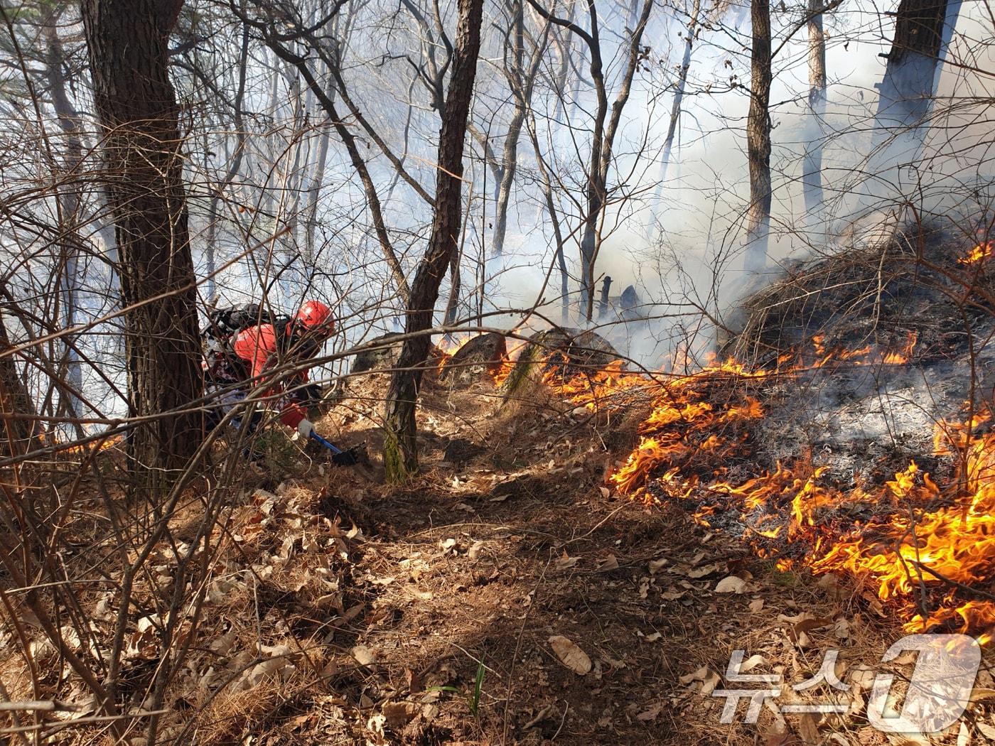 본문 이미지 - 경남 함양 산불 사흘째인 23일 오전 함양군 마천면 산불 현장에서 산림청 산불재난특수진화대원들이 방화선을 구축하며 진화 작업을 벌이고 있다. (산림청 제공. 재판매 및 DB 금지)