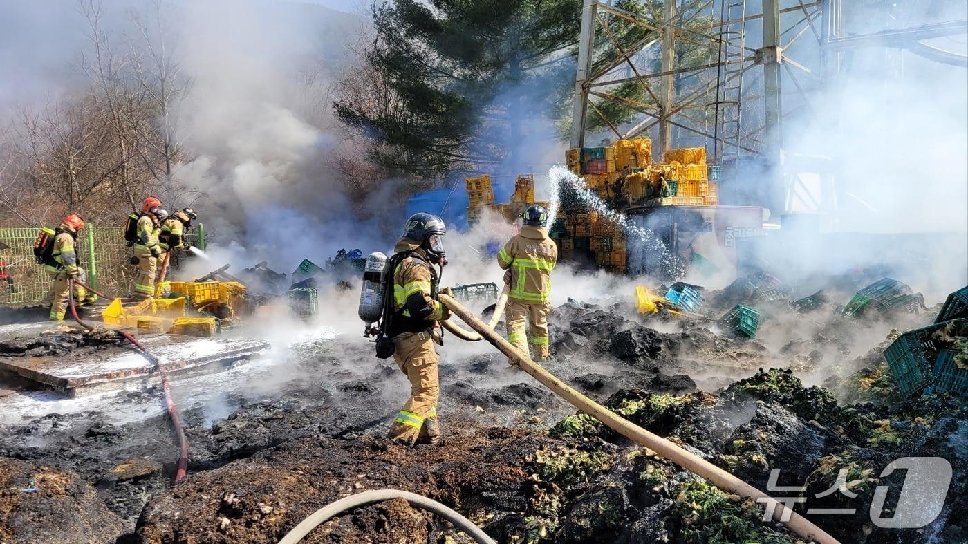 본문 이미지 - 23일 오전 11시 53분쯤 경북 청도군 금천면 임당리 공장에서 불이 나 출동한 소방관이 진화작업을 하고 있다.(청도소방서 제공. 재판매 및 DB금지)/뉴스1