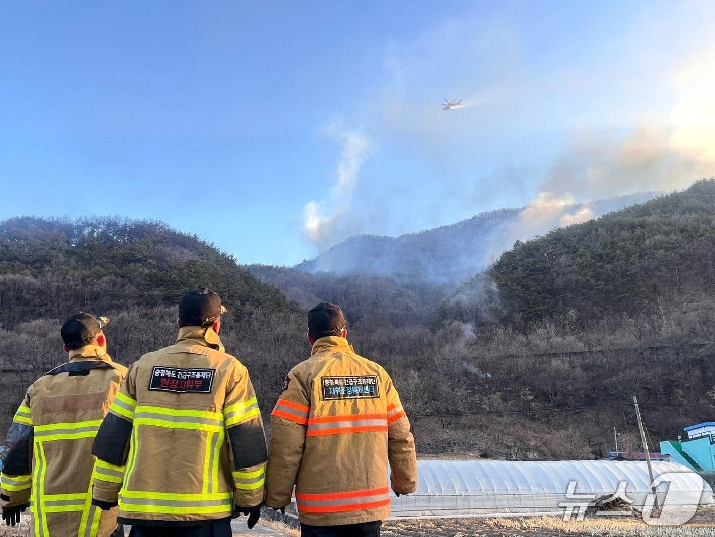 본문 이미지 - 단양군 장림리 산불 현장에서 진화 헬기가 투입돼 진화 작전을 벌였다.(단양군 제공. 재판매 및 DB금지) /뉴스1 