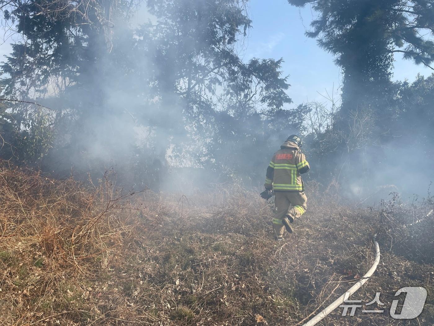 본문 이미지 - 화재 진압 현장(제주소방안전본부 제공. 재판매 및 DB금지)/뉴스1