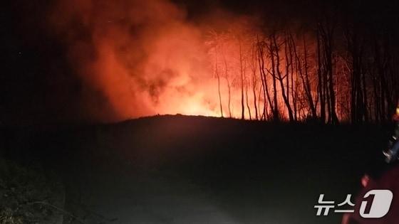 본문 이미지 - 23일 0시 31분쯤 경북 영덕군 축산면 대곡리 야산에서 불이나 진화 대원들이 불을 끄고 있다.(산림청 제공. 재판매 및 DB 금지) 2026.2.23/뉴스1