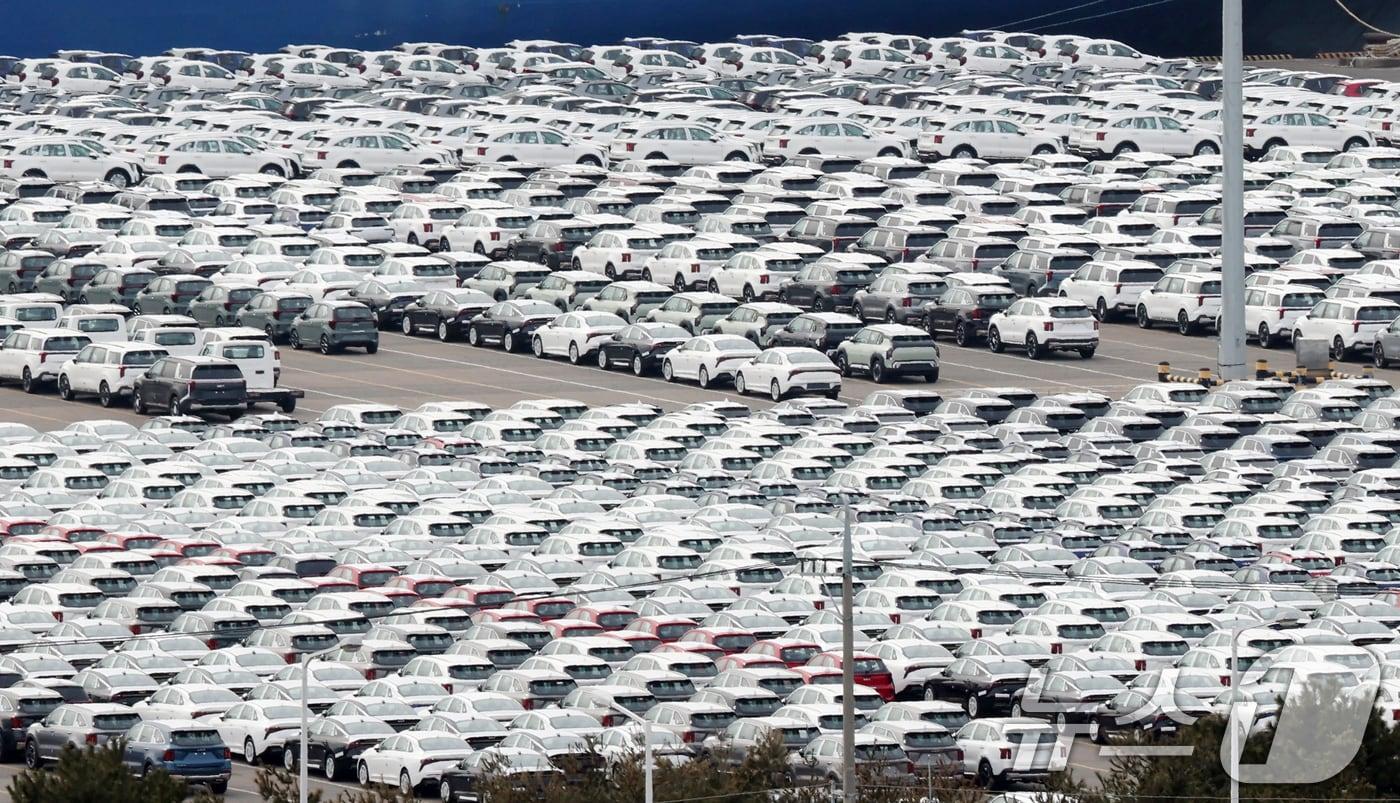 본문 이미지 - 23일 경기 평택시 포승읍 평택항에 수출용 자동차가 세워져 있는 모습. 2026.2.23 ⓒ 뉴스1 김영운 기자