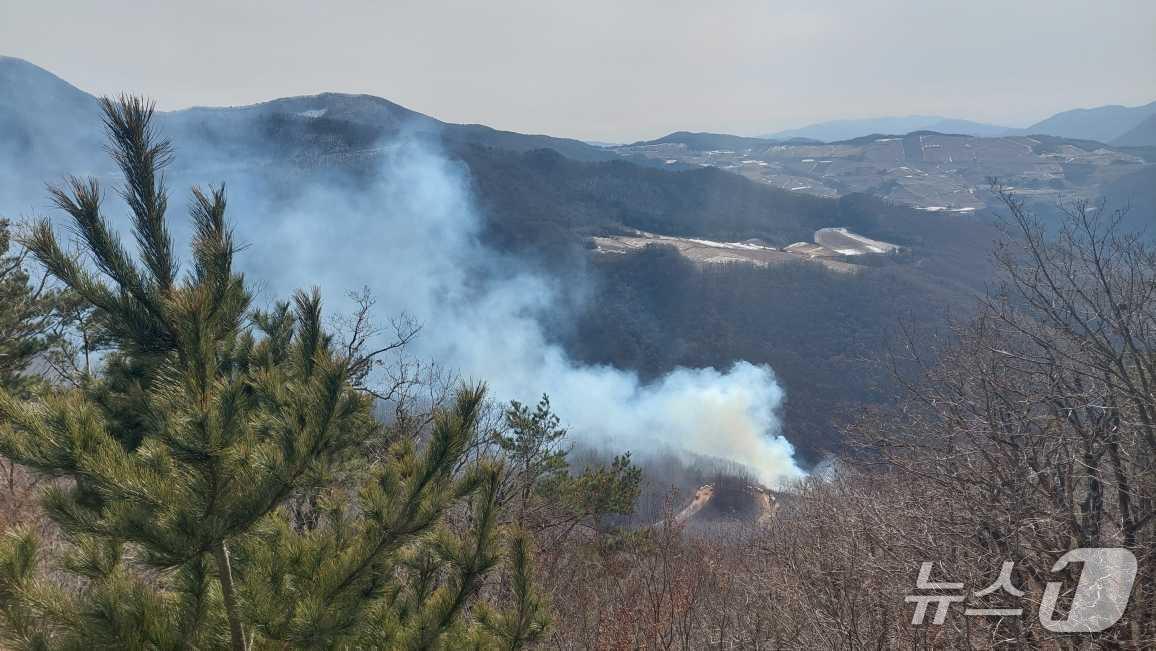 본문 이미지 - 강원 정선 신동읍 방제리 산불 현장.(강원도소방본부 제공, 재판매 및 DB금지)