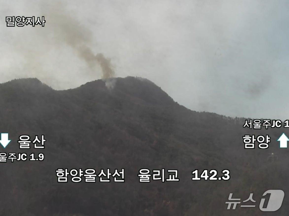 본문 이미지 - 23일 오후 2시 23분께 울산 울주군 웅촌면 남암산에서 불이 났다.(울산소방본부 제공. 재판매 및 DB금지)/뉴스1