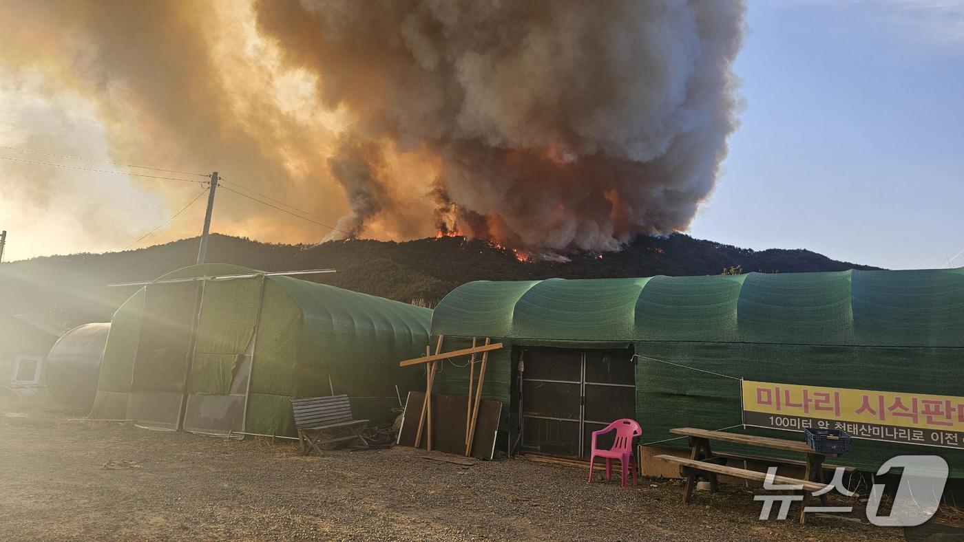 본문 이미지 - 23일 오후 4시10분쯤 경남 밀양시 삼랑진읍 검세리 야산에서 불이 나 연기가 피어오르고 있다.(경남도 제공. 재판매 및 DB금지)