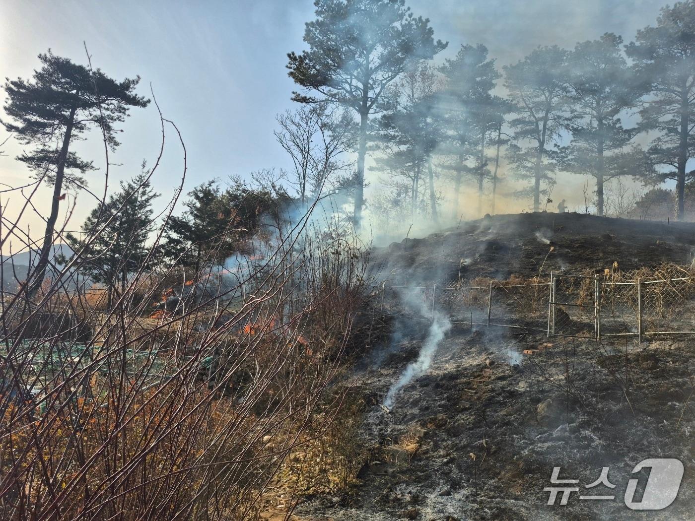 본문 이미지 - 23일 오후 4시 5분쯤 순천시 상사면 호사산에서 발생한 산불이 화재 발생 2시간여만에 완전히 진화됐다. (순천시 제공. 재판매 및 DB금지)