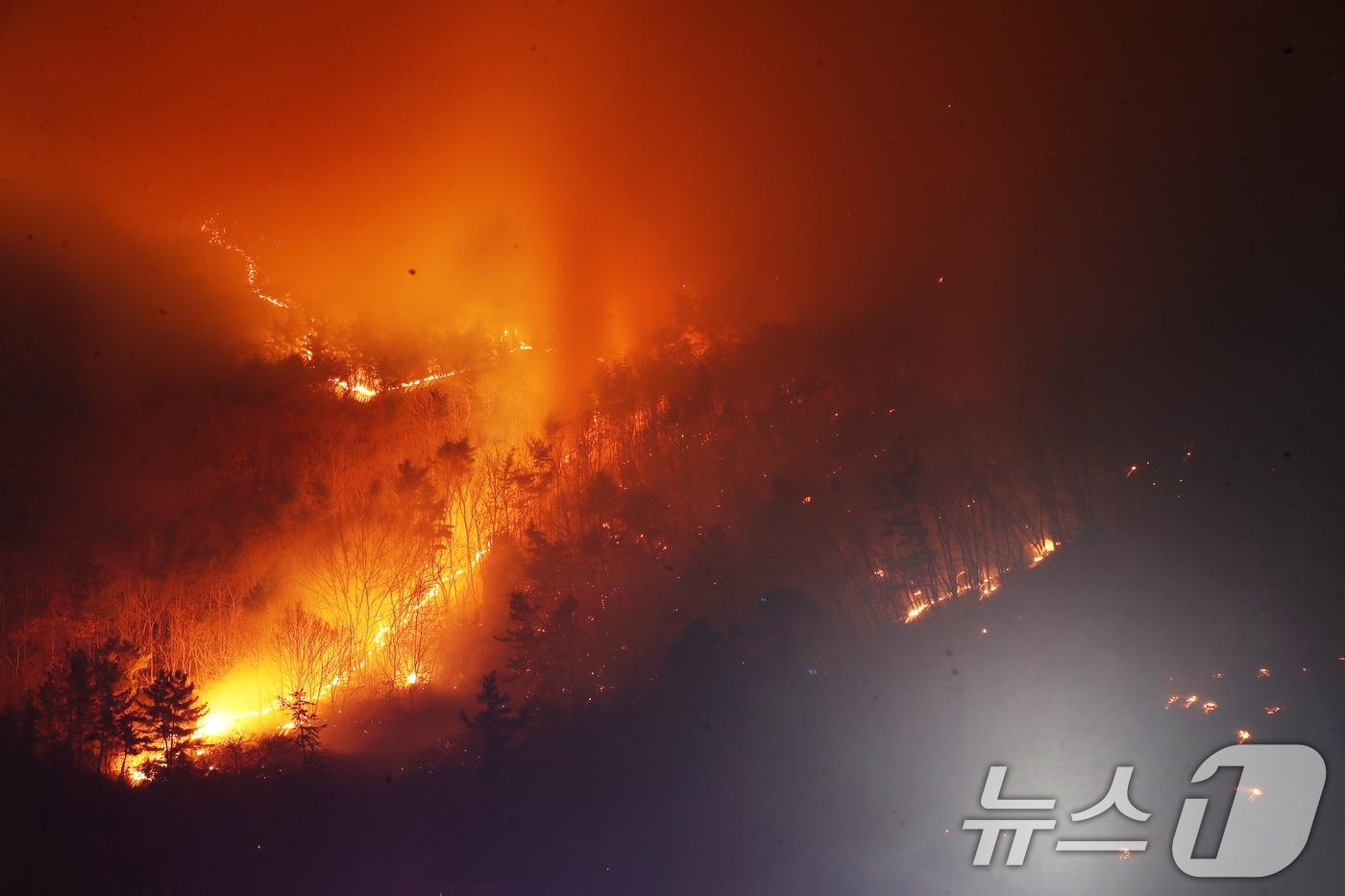 본문 이미지 - 산불이 확산하는 모습.(자료사진) ⓒ 뉴스1
