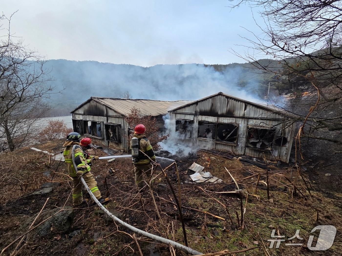 본문 이미지 - 보령 양계장 화재 현장. (보령소방서 제공, 재판매 및  DB금지) / 뉴스1