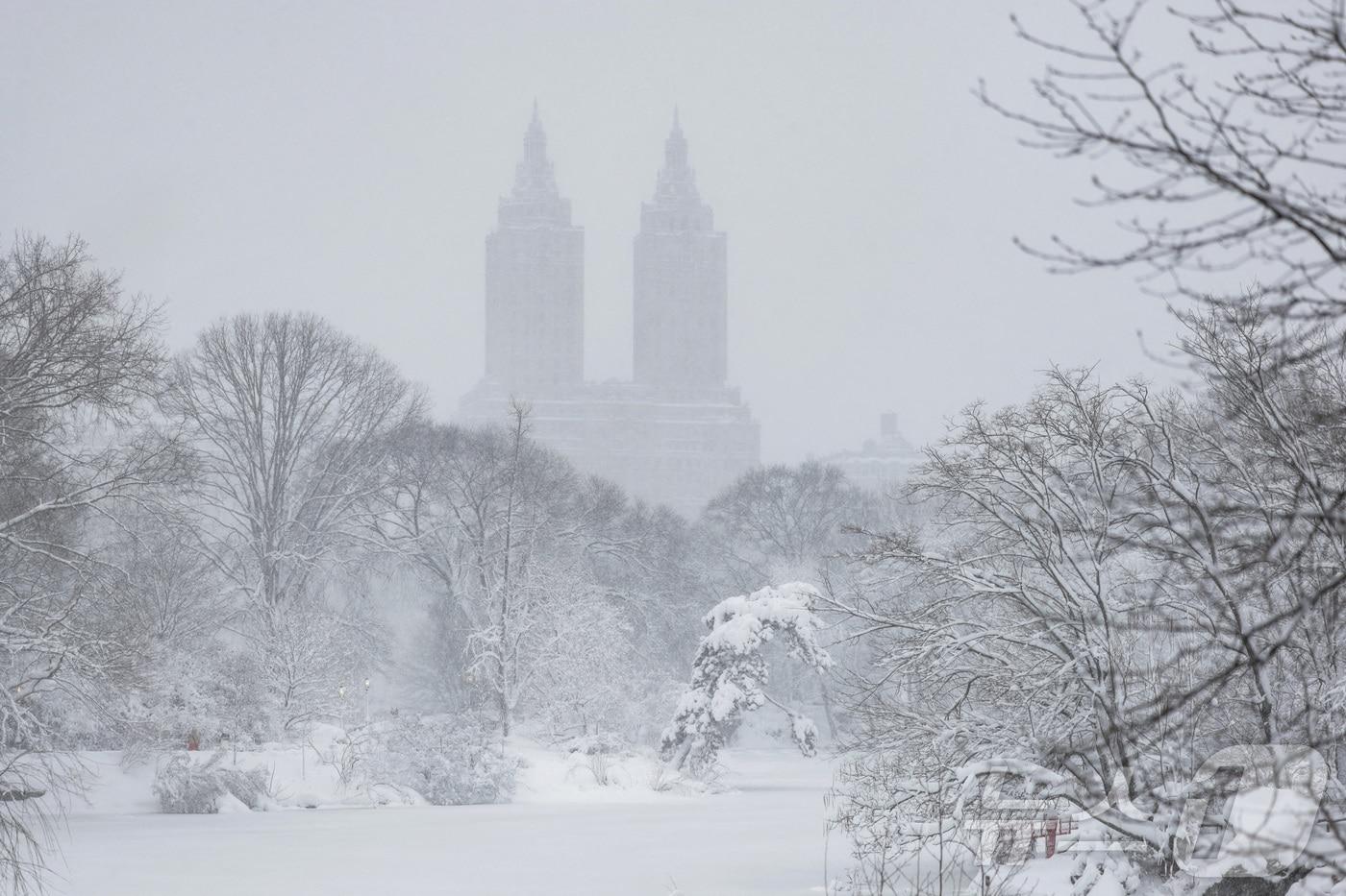 본문 이미지 - 미국 북동부에 겨울 폭풍이 23일(현지시간) 강타했다. 사진은 눈이 쌓인 뉴욕의 센트럴 파크. 2026.2.23 ⓒ 로이터=뉴스1